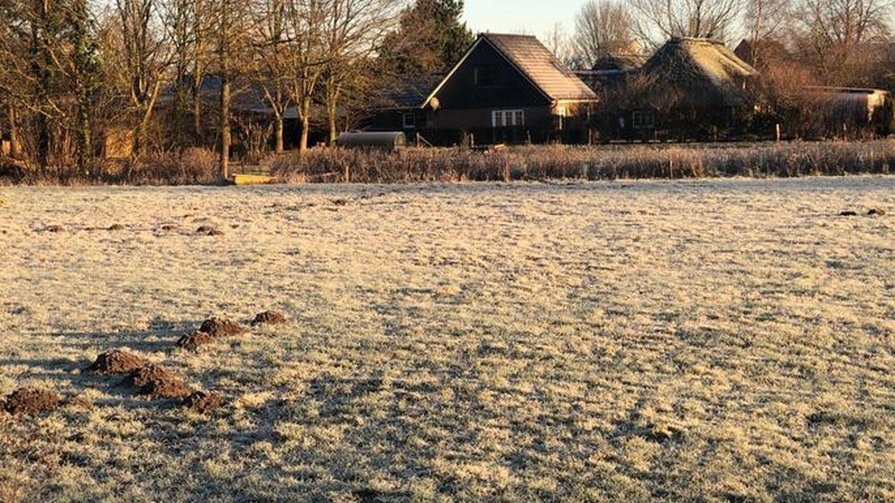 Einzelzimmer für 2 Personen (24 m²) in Langenhorn in Langenhorn, Nordseeküste