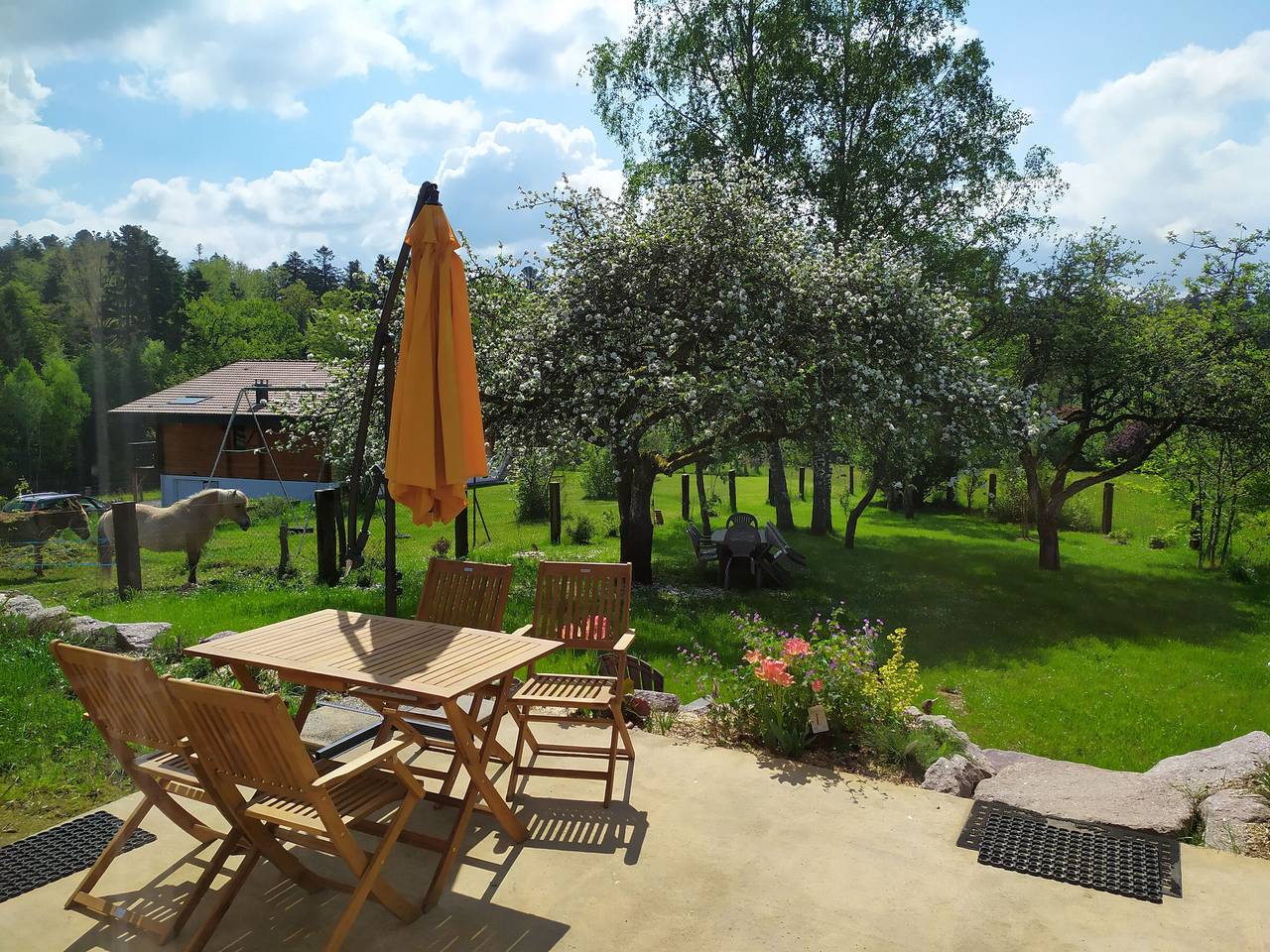 Maison neuve et paisible avec étang privé, terrasse et randonnées aux portes du Pays de Salm in Moyenmoutier, Saint-Dié-des-Vosges
