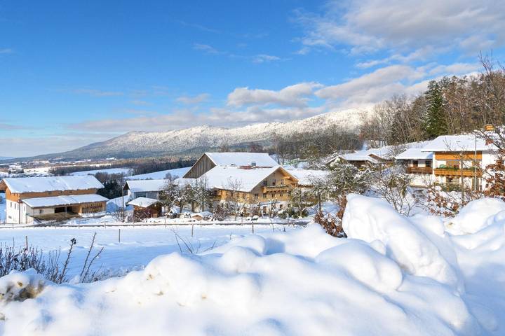 Ferienhaus für 3 Personen, mit Garten in Arnbruck - 2