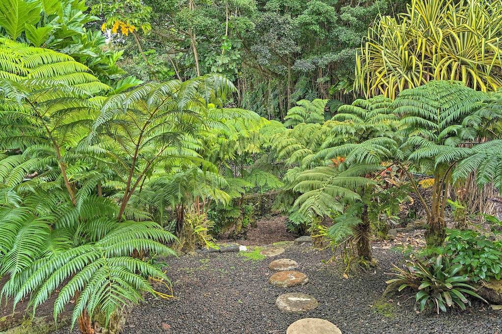 Neu! Hilo Home w / Ocean View-39 Mi zu Volcanoes Np in Hilo, South Hilo