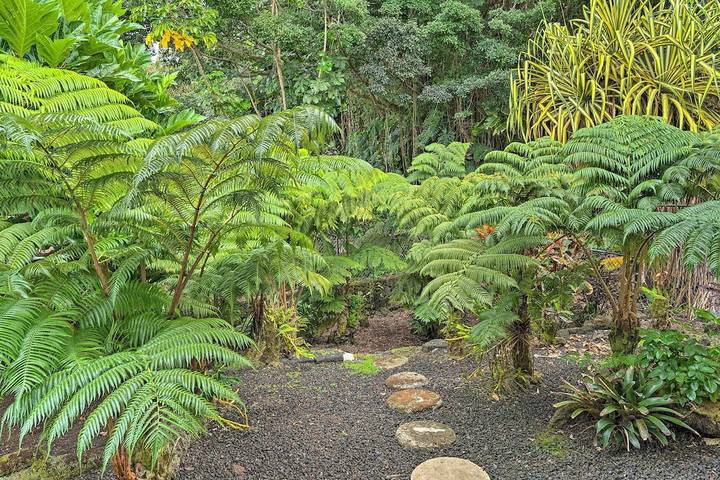 Ferienhaus für 4 Personen, mit Terrasse und Garten - 1