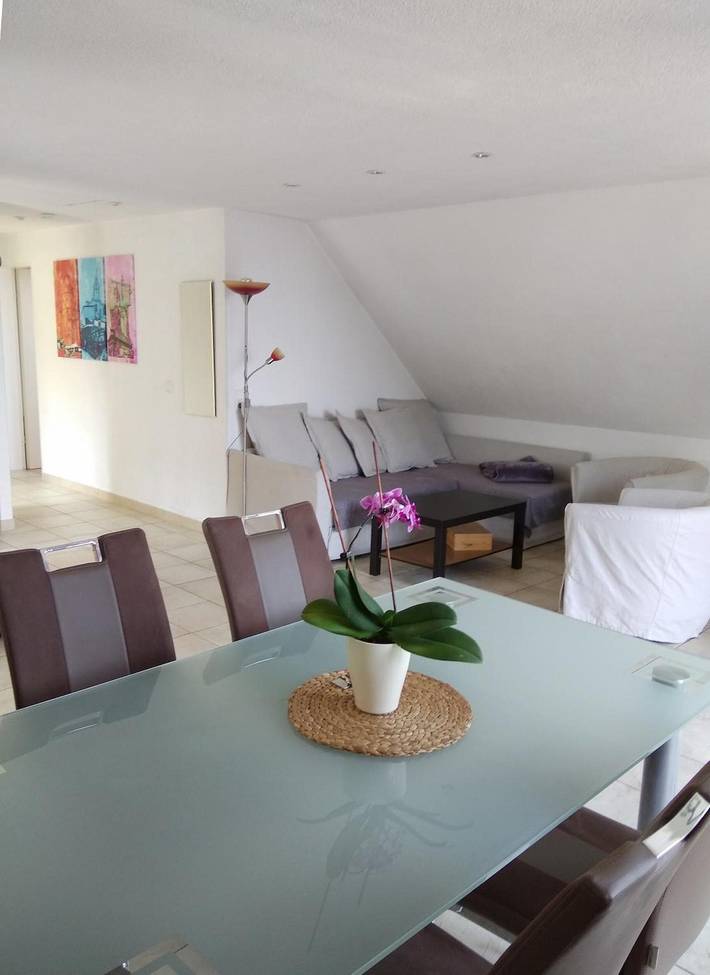 Gîte pour 4 personnes, avec vue sur le lac et balcon à Constance - 4