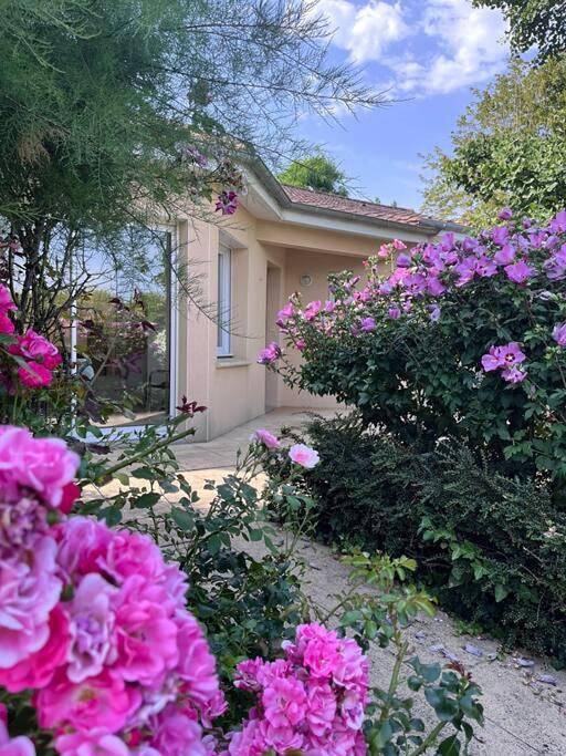 Gîte pour 5 personnes, avec terrasse et jardin à Nueil-sur-Layon