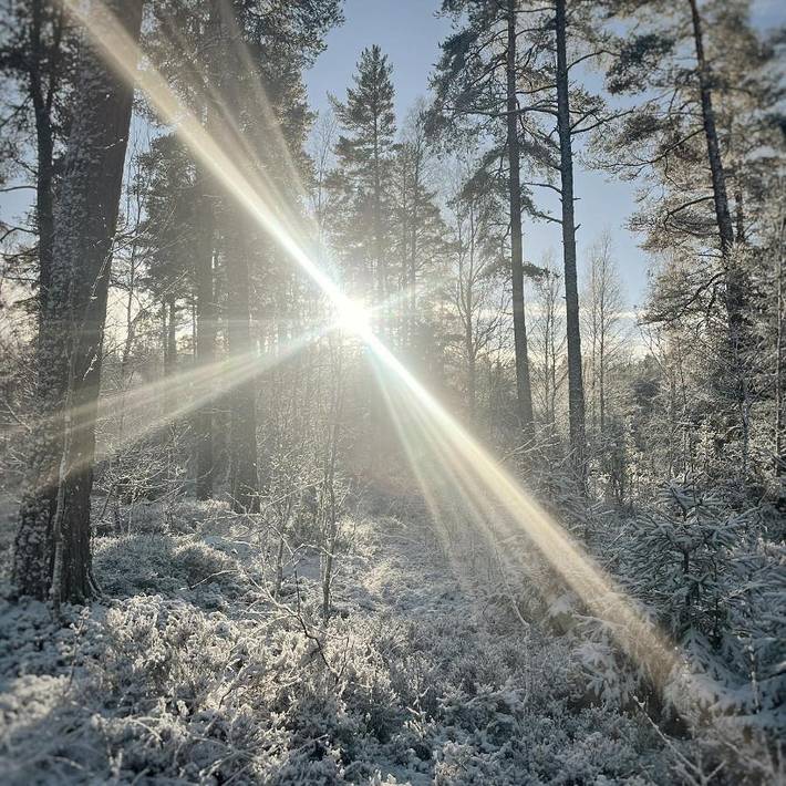 Ferienhaus für 2 Personen, mit Garten und Ausblick sowie Terrasse, mit Haustier in Hjo - 3