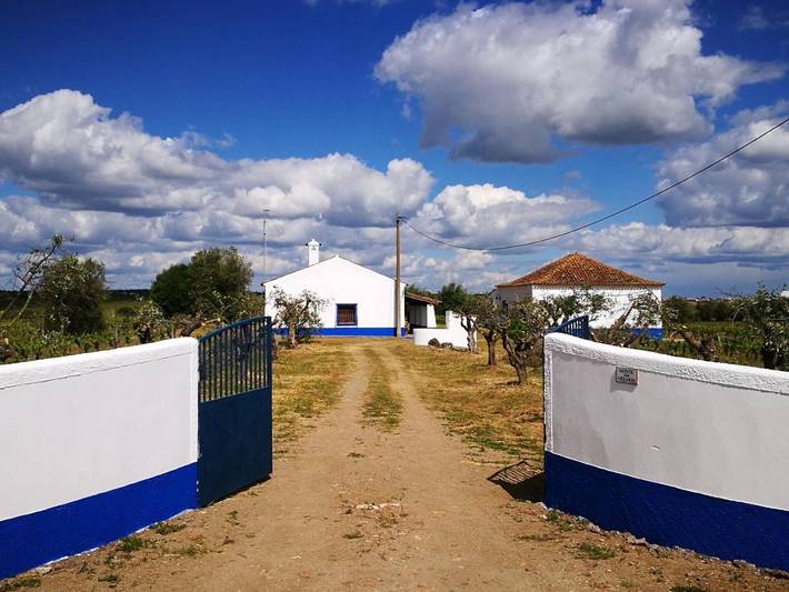 Casa rural para 6 pessoas, com Terraço e Jardim e ainda Vista em Reguengos de Monsaraz