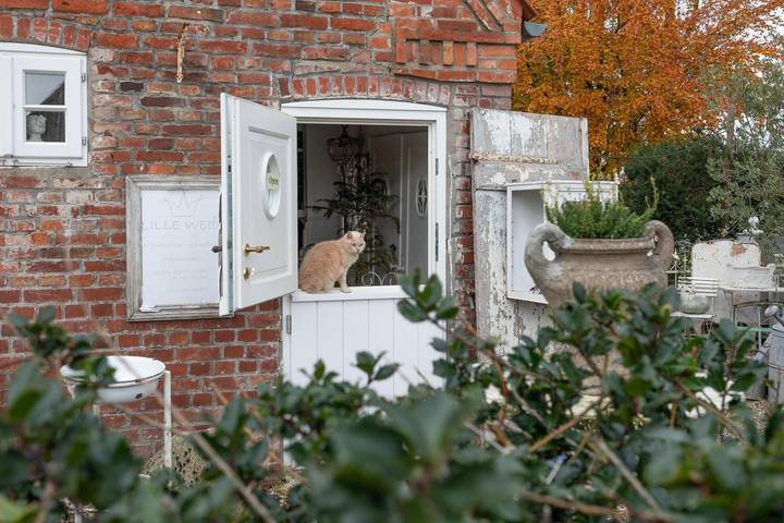 Ganze Wohnung, Ferienwohnung Lille weiß in Drelsdorf für bis zu 5 Personen in Drelsdorf, Nordfriesland