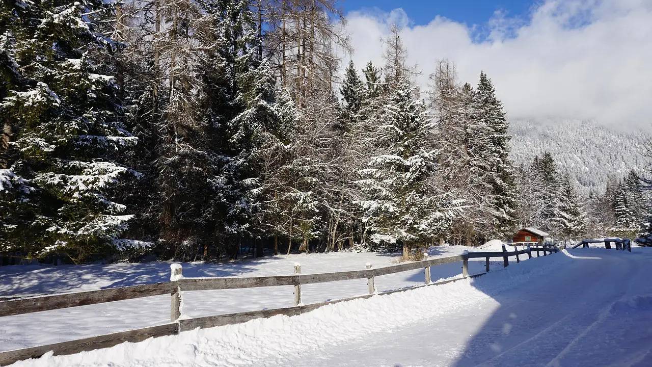Ganze Ferienwohnung, Ferienwohnung für 3 Personen (37 m²) in Bach (Tirol) in Lechtaler Alpen, Bach