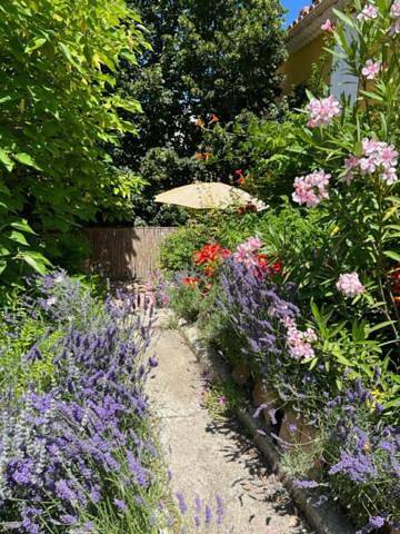 Chambre d’hôte pour 2 personnes, avec jardin ainsi que terrasse et piscine à La Roque-d'Anthéron - 3