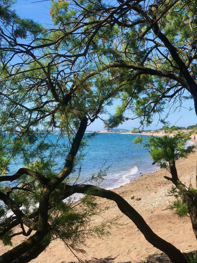 Double Room with Mountain View in Hyeres, Parc national de Port-Cros