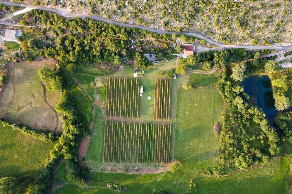 Purple Eye Estate - Camp & Winery (Jokaš) in Opština Danilovgrad