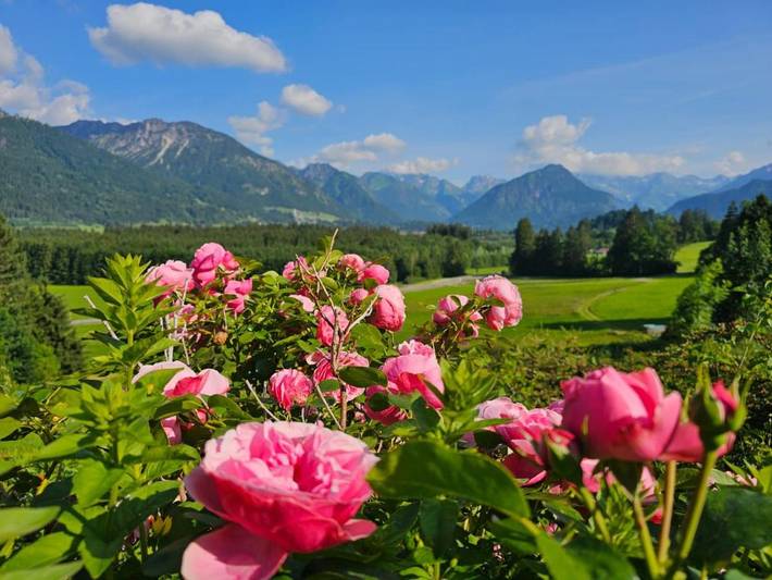 BnB für 3 Personen, mit Balkon und Terrasse sowie Garten und Ausblick in Fischen