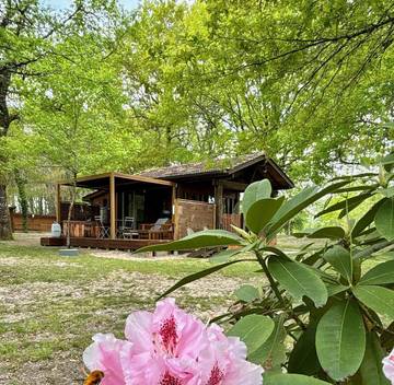 Maison de campagne pour 2 personnes, avec jacuzzi ainsi que jardin et terrasse dans Marions