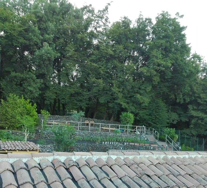 Apartamento de vacaciones para 4 personas, con terraza y jardín - 1