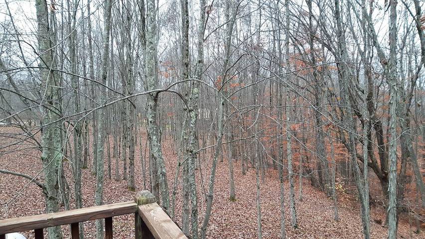 Cottage for 8 people, with terrace in West Virginia