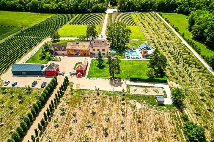 Villa pour 38 personnes, avec jardin et jacuzzi ainsi que terrasse et sauna en Bourgogne
