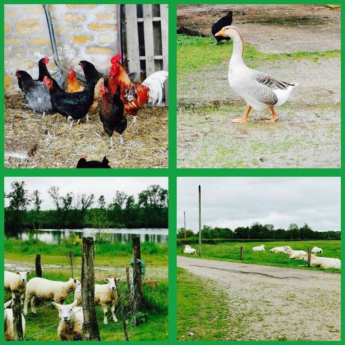 Location de vacances pour 8 personnes, avec vue et terrasse dans Rigny-sur-Arroux