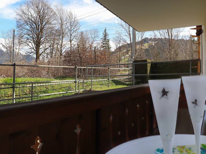 Gîte pour 4 personnes, avec Balcon et Vue à Saanen - 2