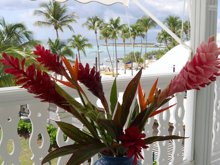 Appartement de vacances pour 4 personnes, avec terrasse et jardin