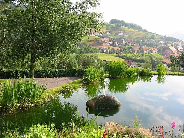 Ferienwohnung, mit Terrasse und Garten in Nationalpark Schwarzwald - 2