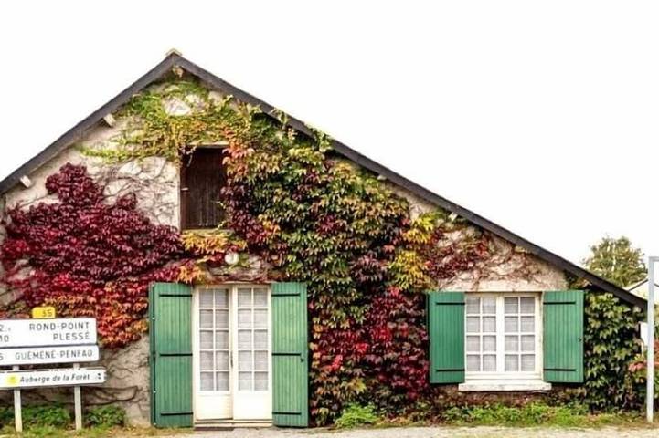 Gîte pour 5 personnes, animaux acceptés