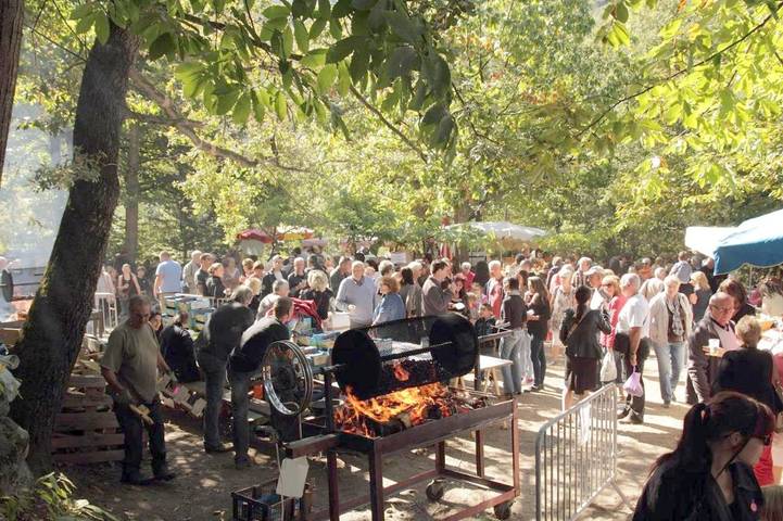 Gîte pour 6 personnes, avec terrasse ainsi que piscine et bassin pour enfant, animaux acceptés à Fuilla - 4
