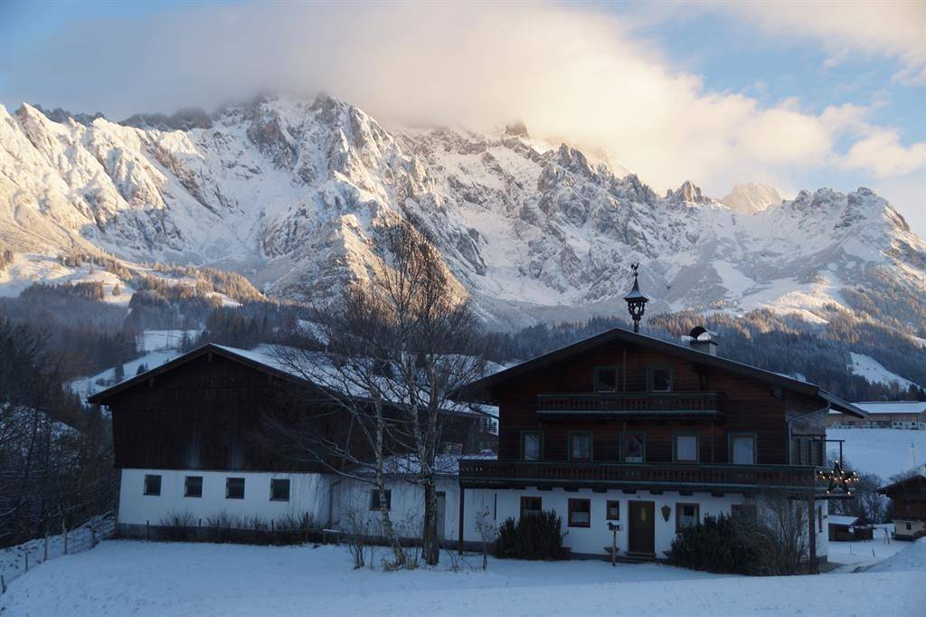 Ganze Ferienwohnung, Apartment/1 Schlafraum/Dusche, Wc in Dienten am Hochkönig, Pinzgau