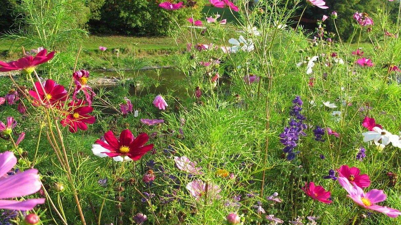 Ganze Ferienwohnung, Ferienwohnung für 2 Personen (76 m²) in Rottweil in Rottweil, Mittlerer Schwarzwald