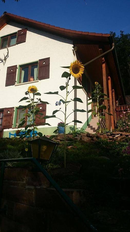 Ferienwohnung für 2 Personen, mit Ausblick und Terrasse in Eberbach