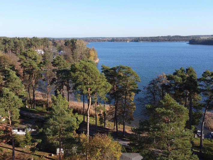 Ferienhaus für 4 Personen, mit Terrasse und Seeblick sowie Garten, mit Haustier in Lychen - 4