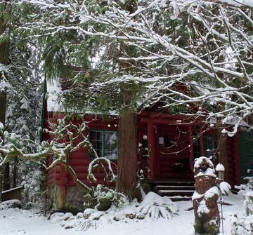 Log Cabin for 8 Guests in Rhododendron, Mount Hood, Picture 3