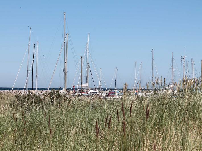 Ferienwohnung für 4 Personen, mit Garten und Terrasse, mit Haustier in Kröpelin - 3