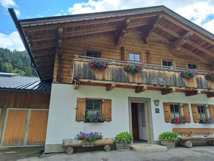 Mountain hut for 10 people, with view and balcony as well as garden, with pets in Austria