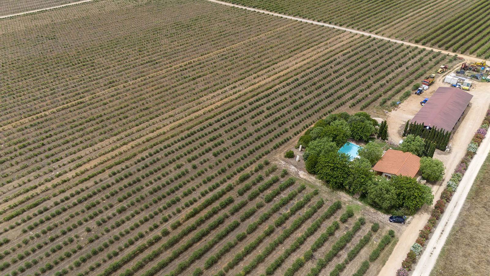 Villa avec le système de contrôle climatique  in Sassari, Nurra