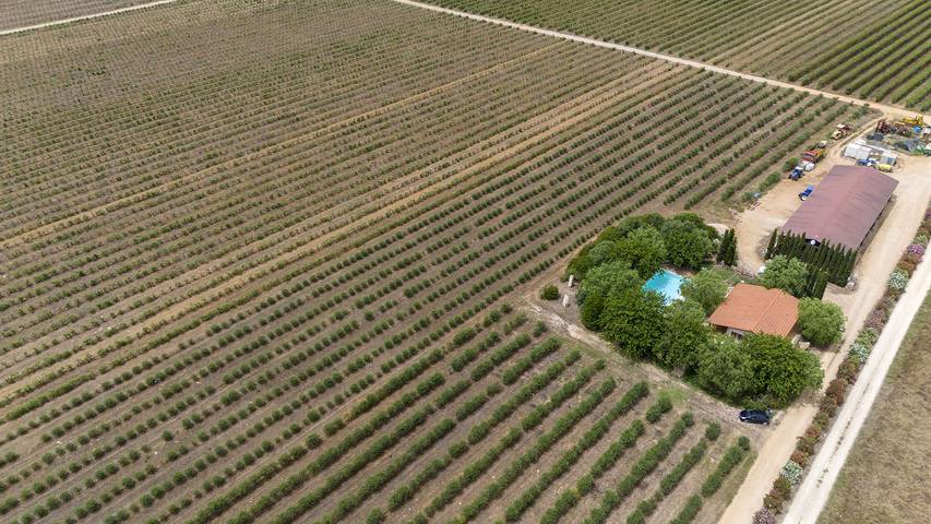 Location de vacances pour 6 personnes à Sassari - 4