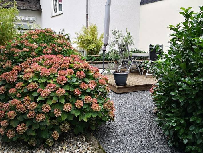 Ferienhaus für 3 Personen, mit Garten in Zeltingen-Rachtig - 4