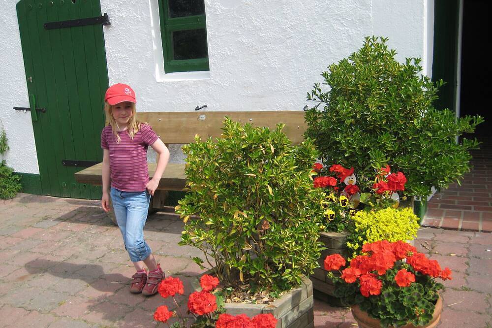 Ganze Wohnung, Neue Ferienwohnung im alten Bauernhaus in Cappel, Cuxland