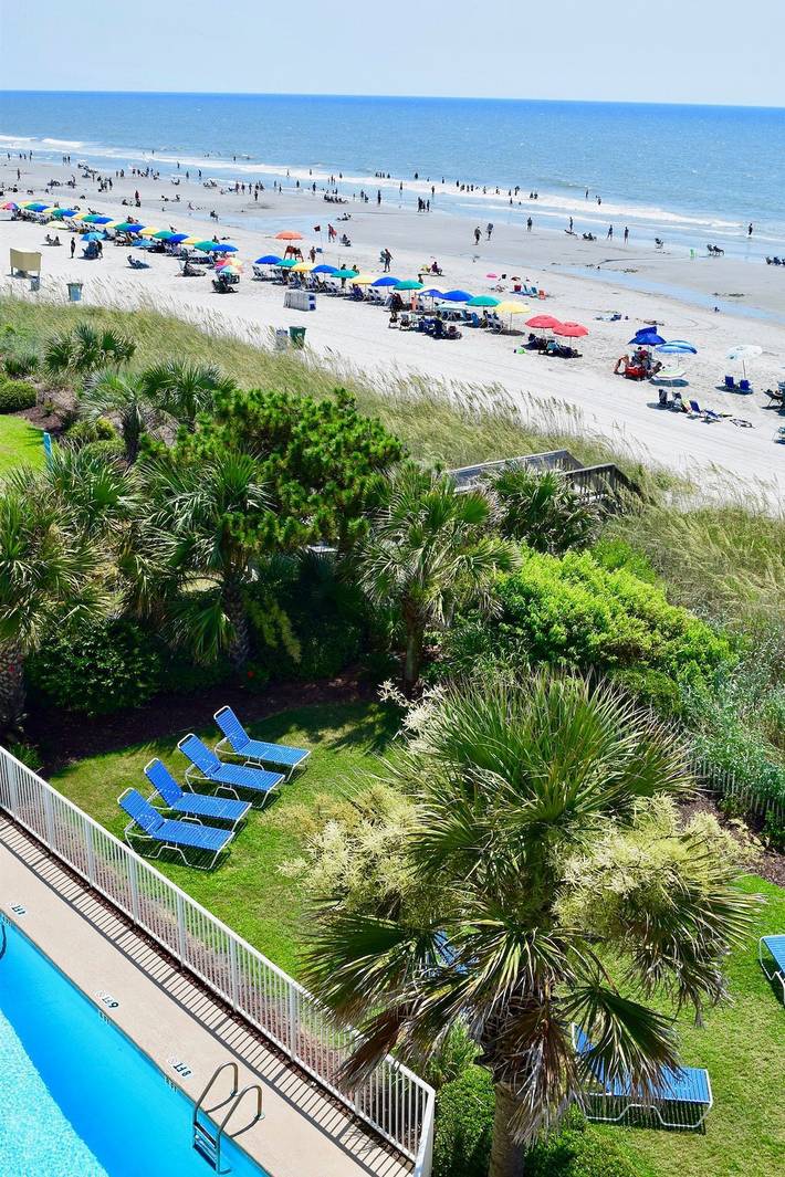 Entire apartment, Jade Tree Cove Resort in Myrtle Beach, Grand Strand