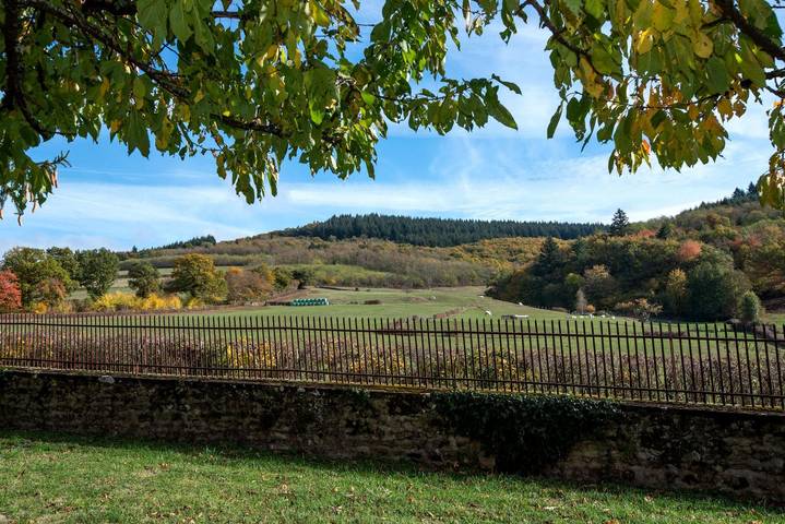 Gîte pour 5 personnes, avec piscine ainsi que jardin et terrasse dans La Vineuse sur Fregande - 4
