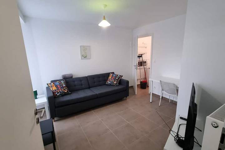 Location de vacances pour 6 personnes, avec terrasse, animaux acceptés à Zillisheim