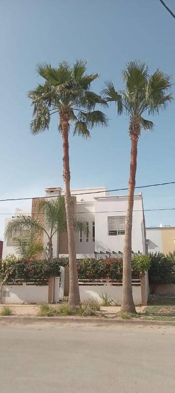 Villa pour 6 personnes, animaux acceptés à Saïdia