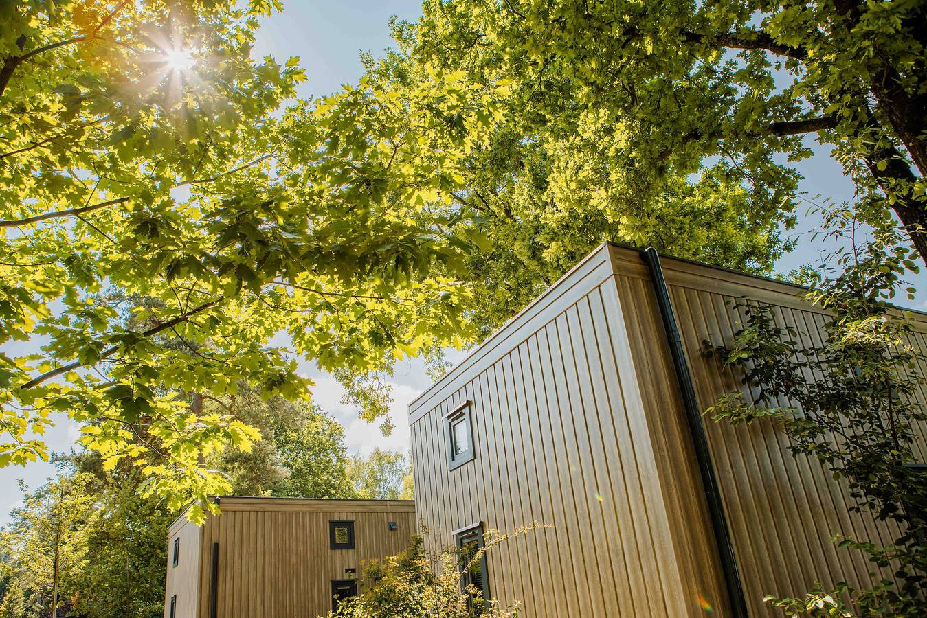 Veluwepark de Bosgraaf — Reeëndal Lodge | 4 personen in Veluwe