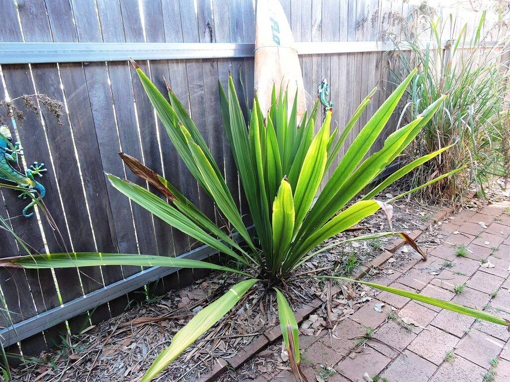 Ganze Wohnung, Cresta 1 @ Crescent Head in Crescent Head, New South Wales