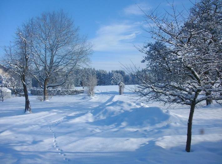 Gîte pour 4 personnes, avec jardin à Opfenbach - 4
