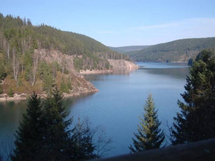 Chalet für 10 Personen, mit Terrasse und Garten sowie Sauna, mit Haustier im Thüringer Wald - 2
