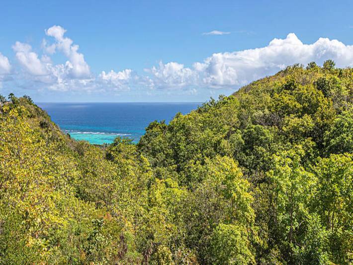 Gîte pour 6 personnes, avec jardin et piscine, adapté aux familles à Capesterre-de-Marie-Galante - 2