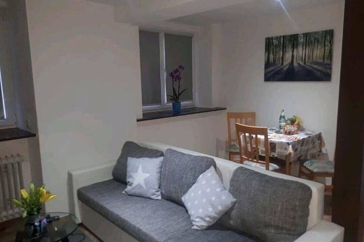 Gîte pour 2 personnes, animaux acceptés à Biberach - 4