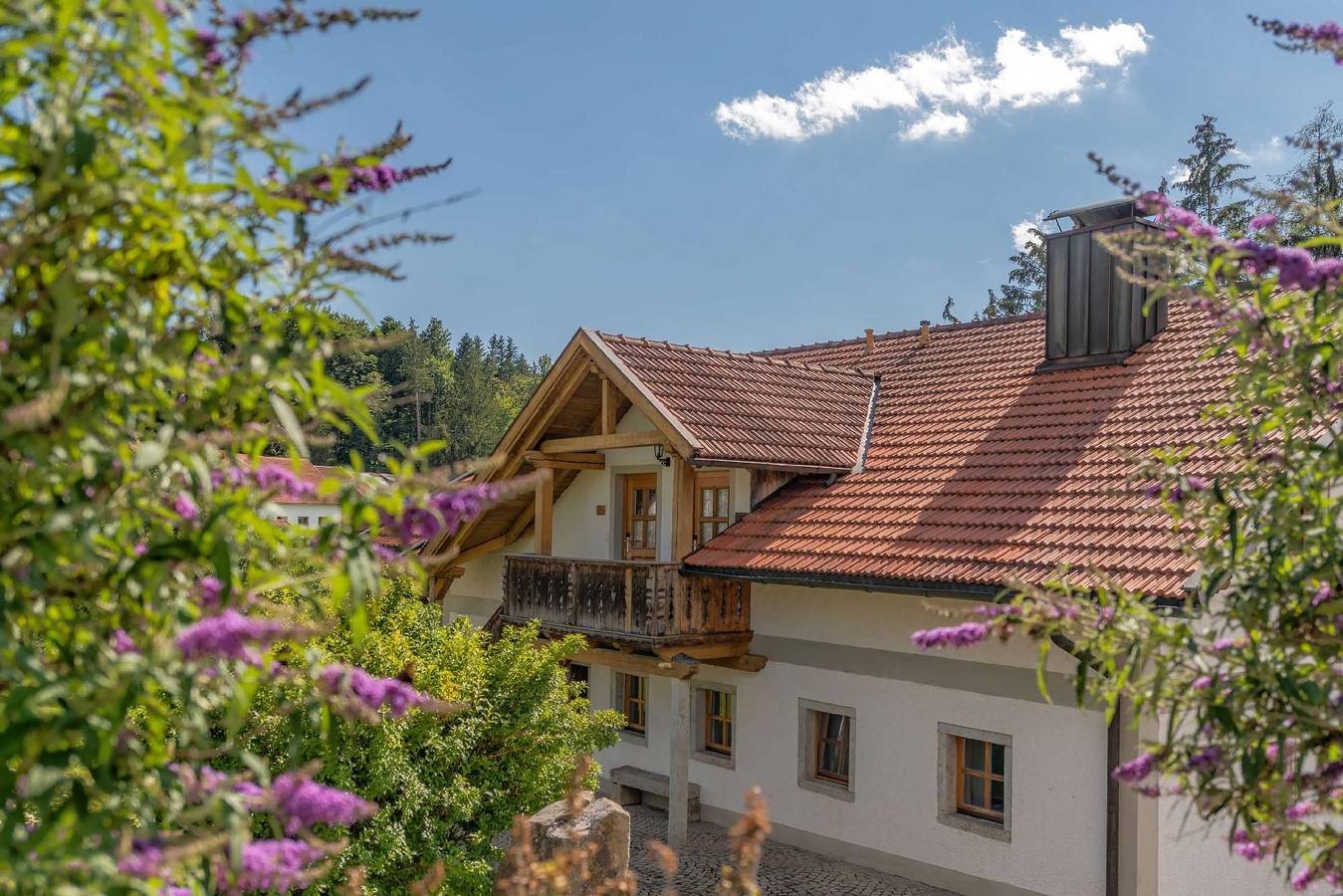 Ganze Ferienwohnung, Exklusive Ferienwohnung in Breitenberg mit Grill, Terrasse und Garten in Breitenberg, Ostbayern