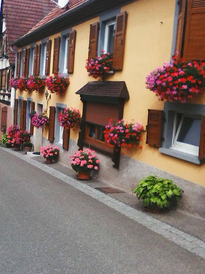 Appartement entier, Relais de la diligence in Romanswiller, Nord de l'Alsace
