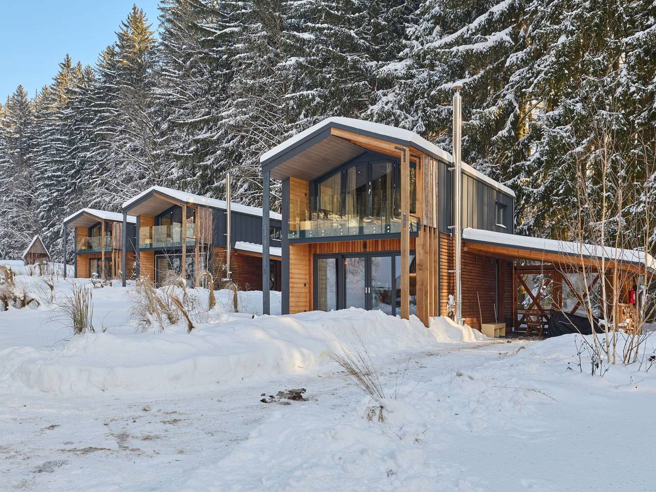 Luxe Timber Lodge & Pet Retreat - Luxe Timber Lodge & Pet Retreat 201.1 in Jungbuch, Region Trautenau
