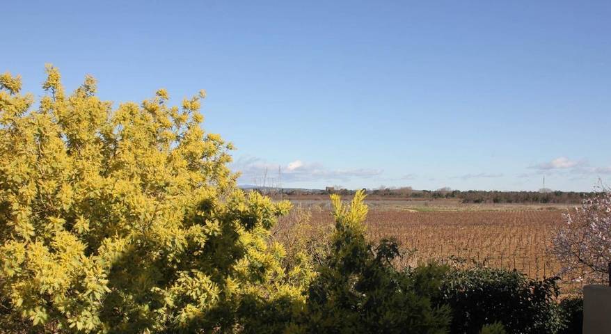 Gîte pour 2 personnes, avec jardin à Ginestas - 4
